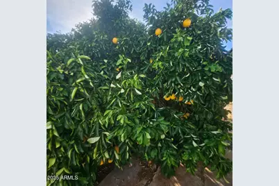 22855 W Sunset Lane, Congress, AZ 85332 - Photo 39