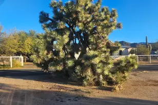 22855 W Sunset Ln, Congress, AZ 85332 - Photo 5