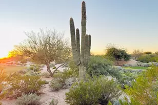 19838 N 84th St, Scottsdale, AZ 85255 - Photo 45