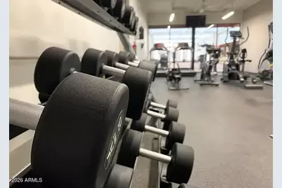 25236 S Flame Tree Drive, Sun Lakes, AZ 85248 - Photo 95