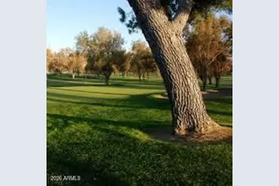 25236 S Flame Tree Drive, Sun Lakes, AZ 85248 - Photo 51