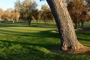 25236 S Flame Tree Dr, Sun Lakes, AZ 85248 - Photo 51