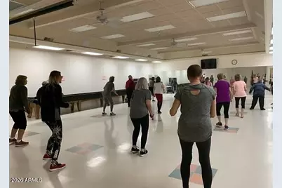 25236 S Flame Tree Drive, Sun Lakes, AZ 85248 - Photo 99