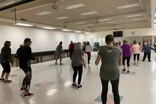 25236 S Flame Tree Dr, Sun Lakes, AZ 85248 - Photo 99