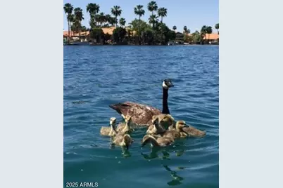 1146 W Sea Fog Drive, Gilbert, AZ 85233 - Photo 39