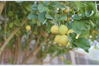 20800 E Tara Springs Road, Black Canyon City, AZ 85324 - Photo 31