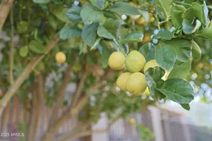 20800 E Tara Springs Rd, Black Canyon City, AZ 85324 - Photo 31