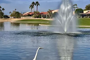 24714 S Ontario Dr, Sun Lakes, AZ 85248 - Photo 77