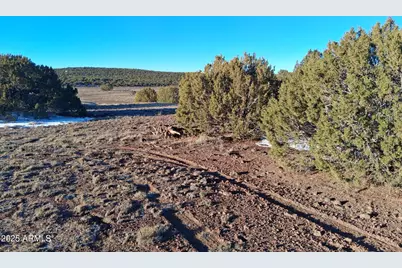 86 County Rd 8227 -- #-, Concho, AZ 85924 - Photo 7