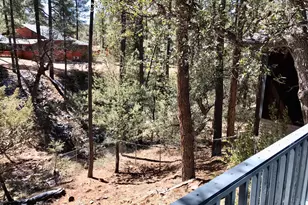 8871 W Wild Turkey Ln, Pine, AZ 85544 - Photo 23