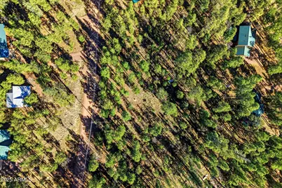 20 Co Rd 2067 -- #114, Alpine, AZ 85920 - Photo 9