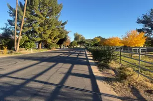 704 E Mesquite Ave, Gilbert, AZ 85296 - Photo 3