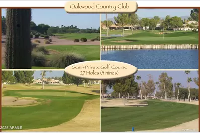 9011 E Diamond Drive, Sun Lakes, AZ 85248 - Photo 53