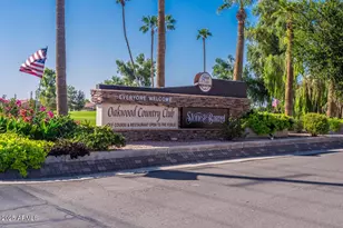 9011 E Diamond Dr, Sun Lakes, AZ 85248 - Photo 33