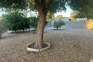 8918 E Michigan Ave, Sun Lakes, AZ 85248 - Photo 19