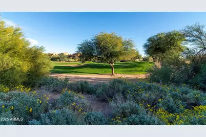 9937 E Hidden Treasure Court, Gold Canyon, AZ 85118 - Photo 57