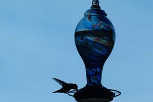 13815 N Vista Del Oro, Fort McDowell, AZ 85264 - Photo 71