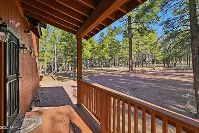3738 Apache Drive, Happy Jack, AZ 86024 - Photo 7