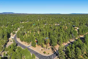 3738 Apache Dr, Happy Jack, AZ 86024 - Photo 43