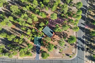 3738 Apache Dr, Happy Jack, AZ 86024 - Photo 41