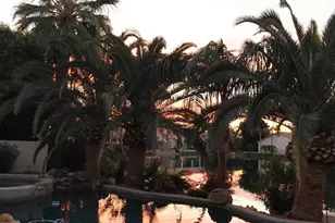 1551 W Blue Ridge Way, Chandler, AZ 85248 - Photo 59