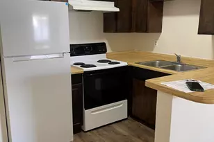 585 W 20th Ave, Apache Junction, AZ 85120 - Photo 3