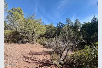 19 N Elk Rub Lane #19, Pine, AZ 85544 - Photo 5