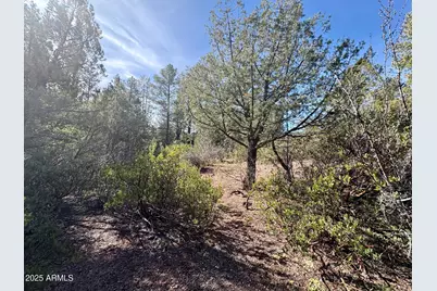 19 N Elk Rub Lane #19, Pine, AZ 85544 - Photo 9