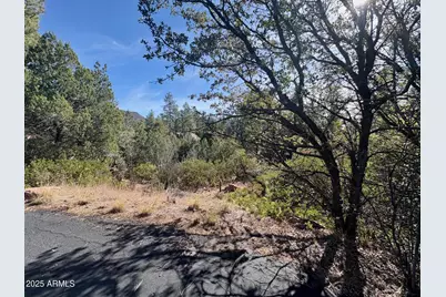 19 N Elk Rub Lane #19, Pine, AZ 85544 - Photo 5