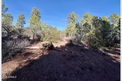 19 N Elk Rub Lane #19, Pine, AZ 85544 - Photo 11