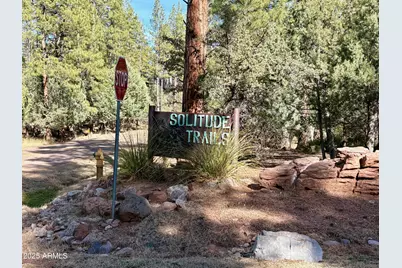 19 N Elk Rub Lane #19, Pine, AZ 85544 - Photo 1