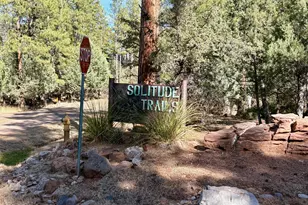 19 N Elk Rub Ln, Pine, AZ 85544 - Photo 1