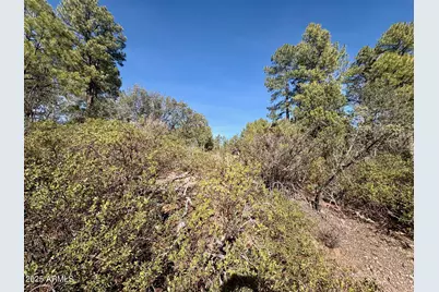19 N Elk Rub Lane #19, Pine, AZ 85544 - Photo 15
