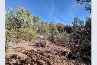 19 N Elk Rub Lane #19, Pine, AZ 85544 - Photo 13