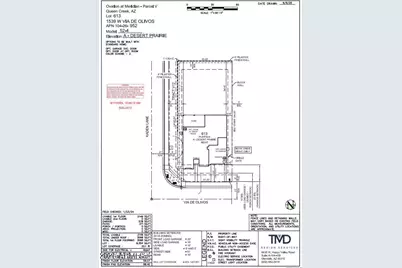 1539 W Via De Olivos --, San Tan Valley, AZ 85140 - Photo 3