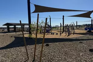 15712 W Camden Ave, Waddell, AZ 85355 - Photo 11