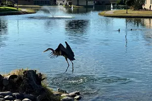 625 Leisure World, Mesa, AZ 85206 - Photo 23