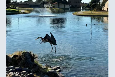 625 Leisure World --, Mesa, AZ 85206 - Photo 25