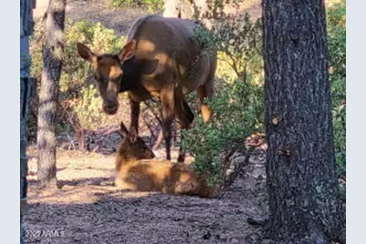 1201&1203 W Chatham Drive, Payson, AZ 85541 - Photo 21