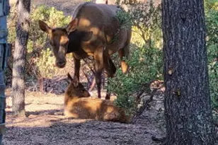 1201 W Chatham Dr, Payson, AZ 85541 - Photo 21