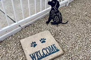 7402 E Hum Rd, Carefree, AZ 85377 - Photo 11