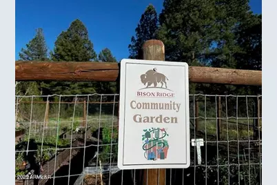 4881 Tatanka Drive, Show Low, AZ 85901 - Photo 13