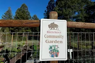 4881 Tatanka Dr, Show Low, AZ 85901 - Photo 13