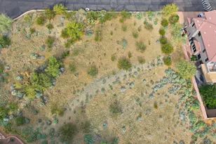 2707 E Gelding Dr, Phoenix, AZ 85032 - Photo 7