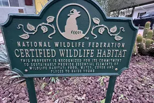 1518 W Windsor Ave, Phoenix, AZ 85007 - Photo 5