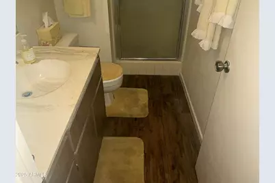 6742 E Dallas Street, Mesa, AZ 85205 - Photo 5