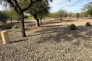 13319 W Solano Dr, Litchfield Park, AZ 85340 - Photo 63