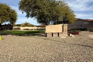 13319 W Solano Dr, Litchfield Park, AZ 85340 - Photo 9