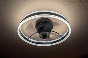 4456 E Hidalgo Ave, Phoenix, AZ 85040 - Photo 23