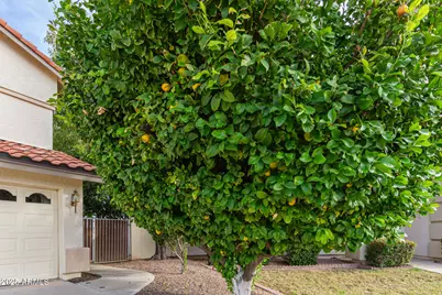 12803 N 57th Avenue, Glendale, AZ 85304 - Photo 5
